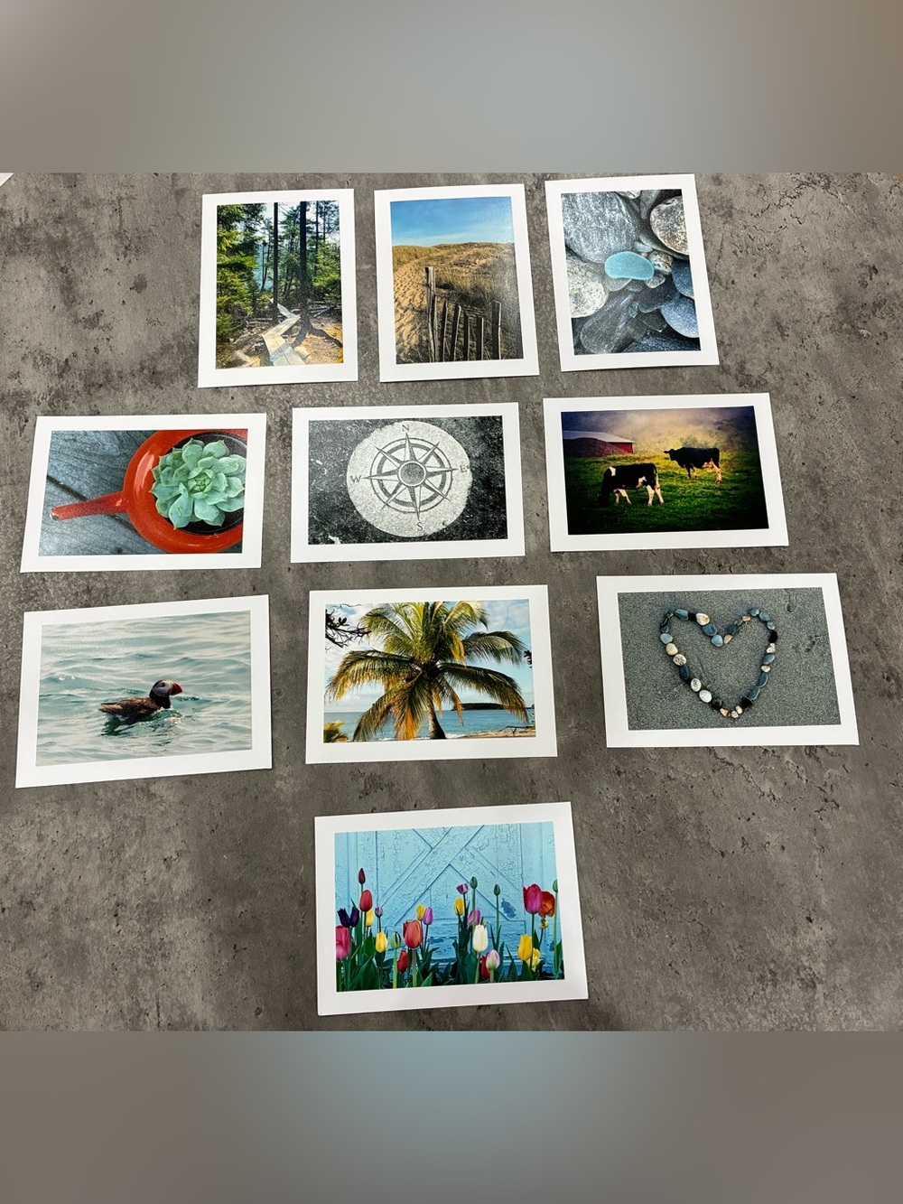 Assorted Nature Photography Flat Card & Envelope Set